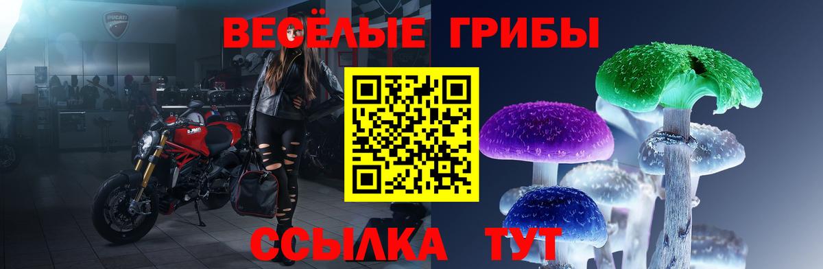 Галлюциногенные грибы Psilocybe  Псилоцибиновые грибы Cubensis  Дивногорск  Вход с VPN 